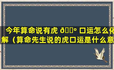 今年算命说有虎 🌺 口运怎么化解（算命先生说的虎口运是什么意思）